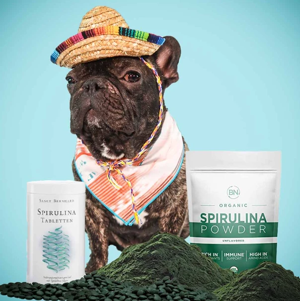 Organic Spirulina Powder Pet Food Uses Organic Spirulina Powder Pet Food Uses