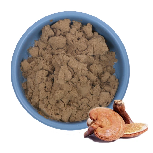 Bulk Reishi Chanpiyon Rowder