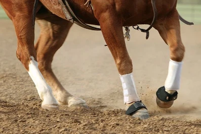 Vitamin B1 Powder Pou Cheval