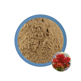 Rhodiola Bulk Powder