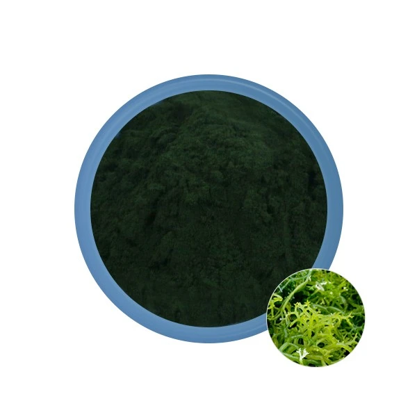 Spirulina Powder esansyèl